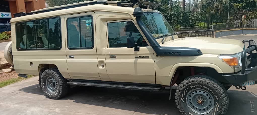 Kigali to bwindi gorilla transfers