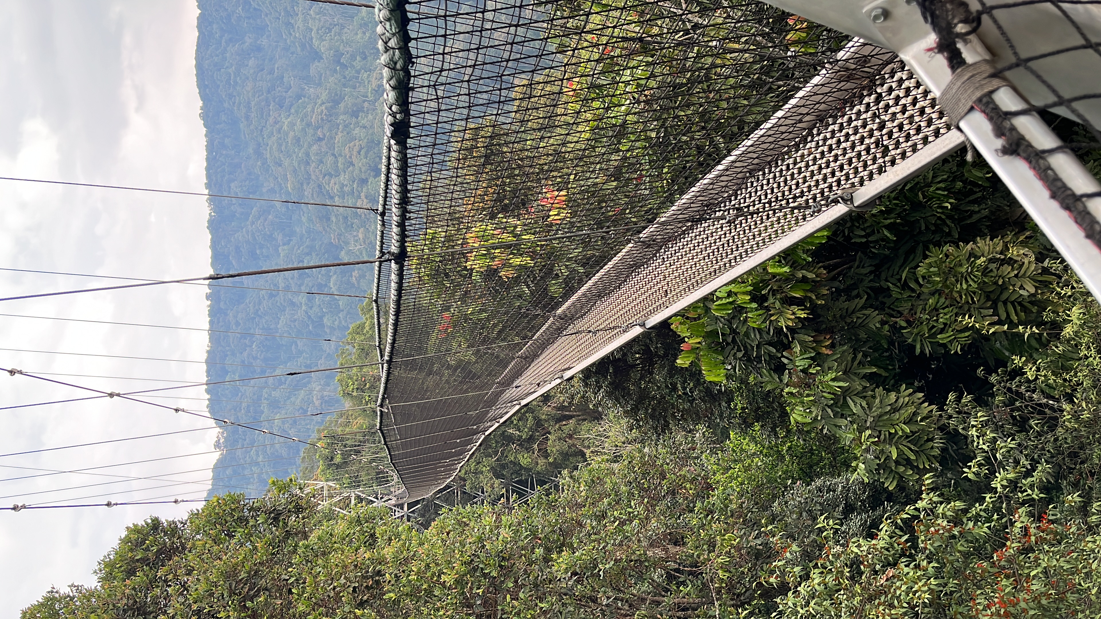 Nyungwe national park