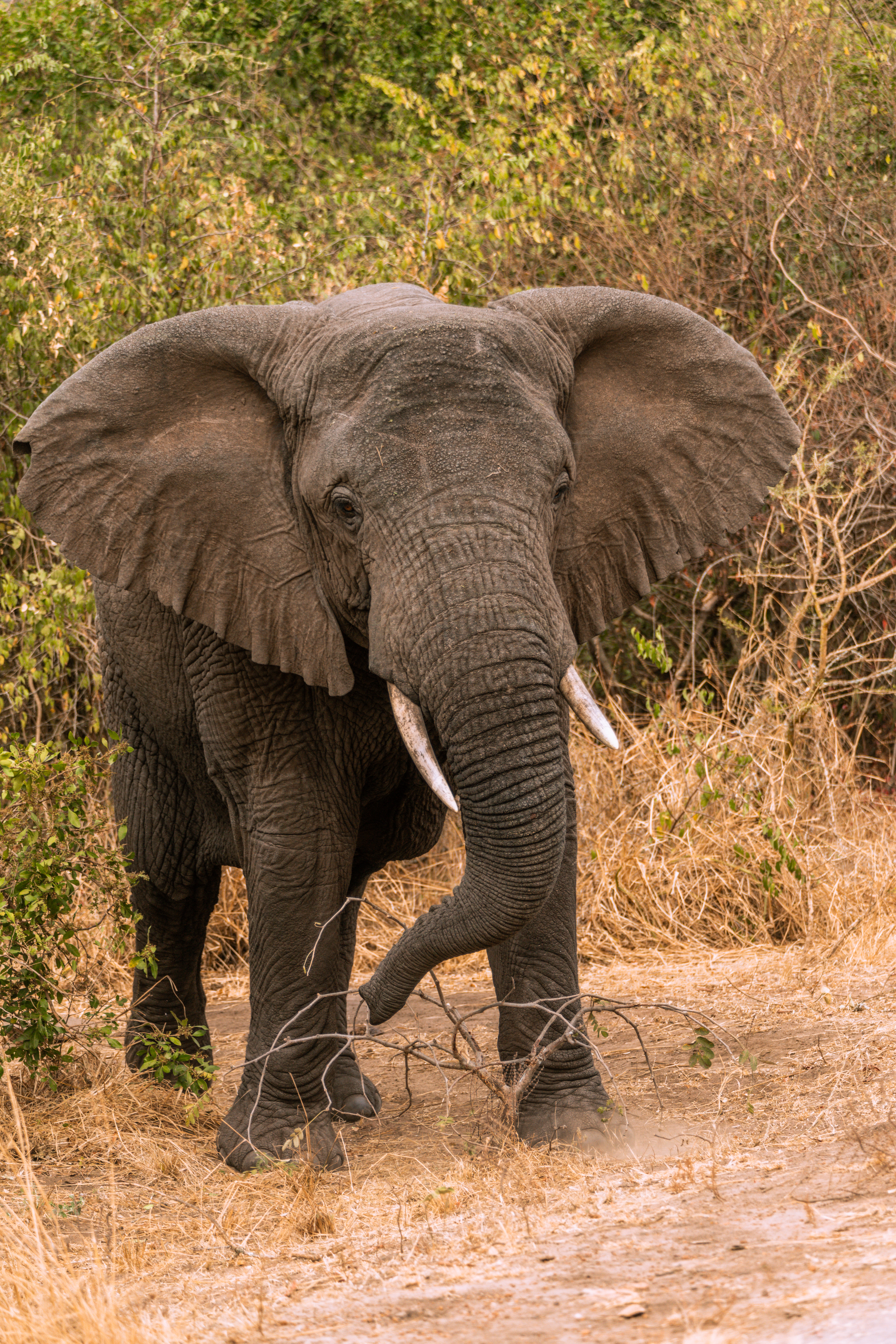 Kidepo valley national park