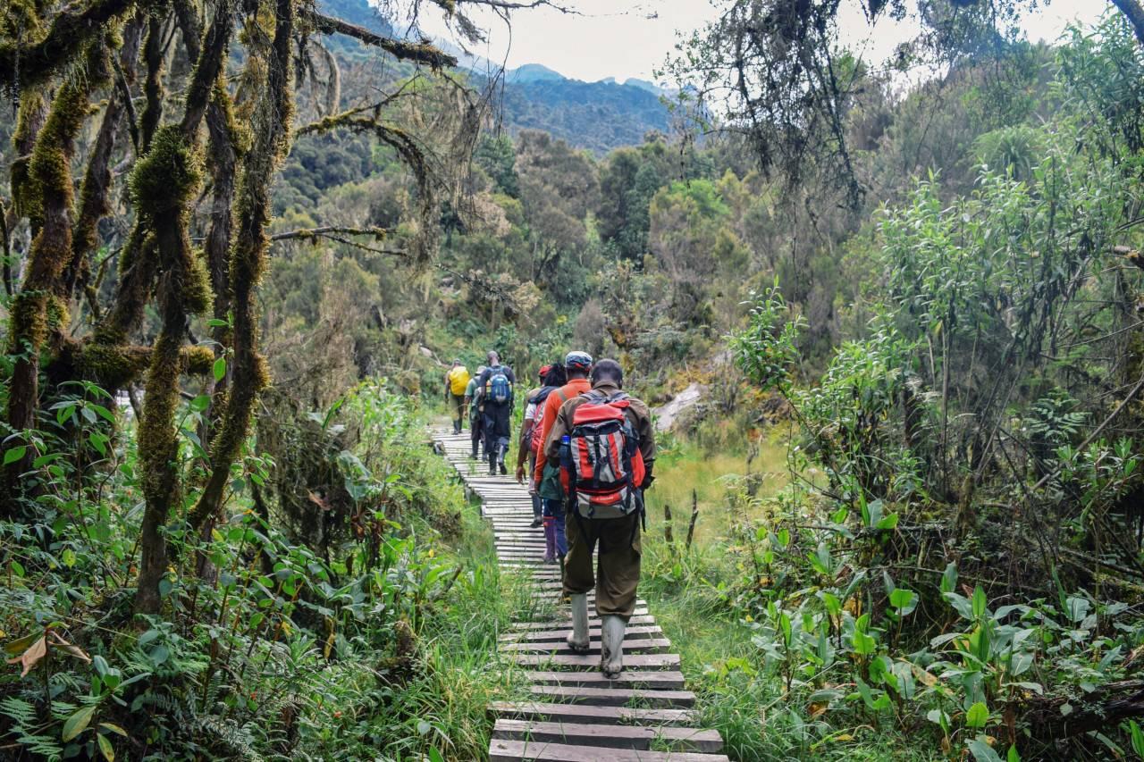Mountains of the Moon (Rwenzori Mountains National Park)