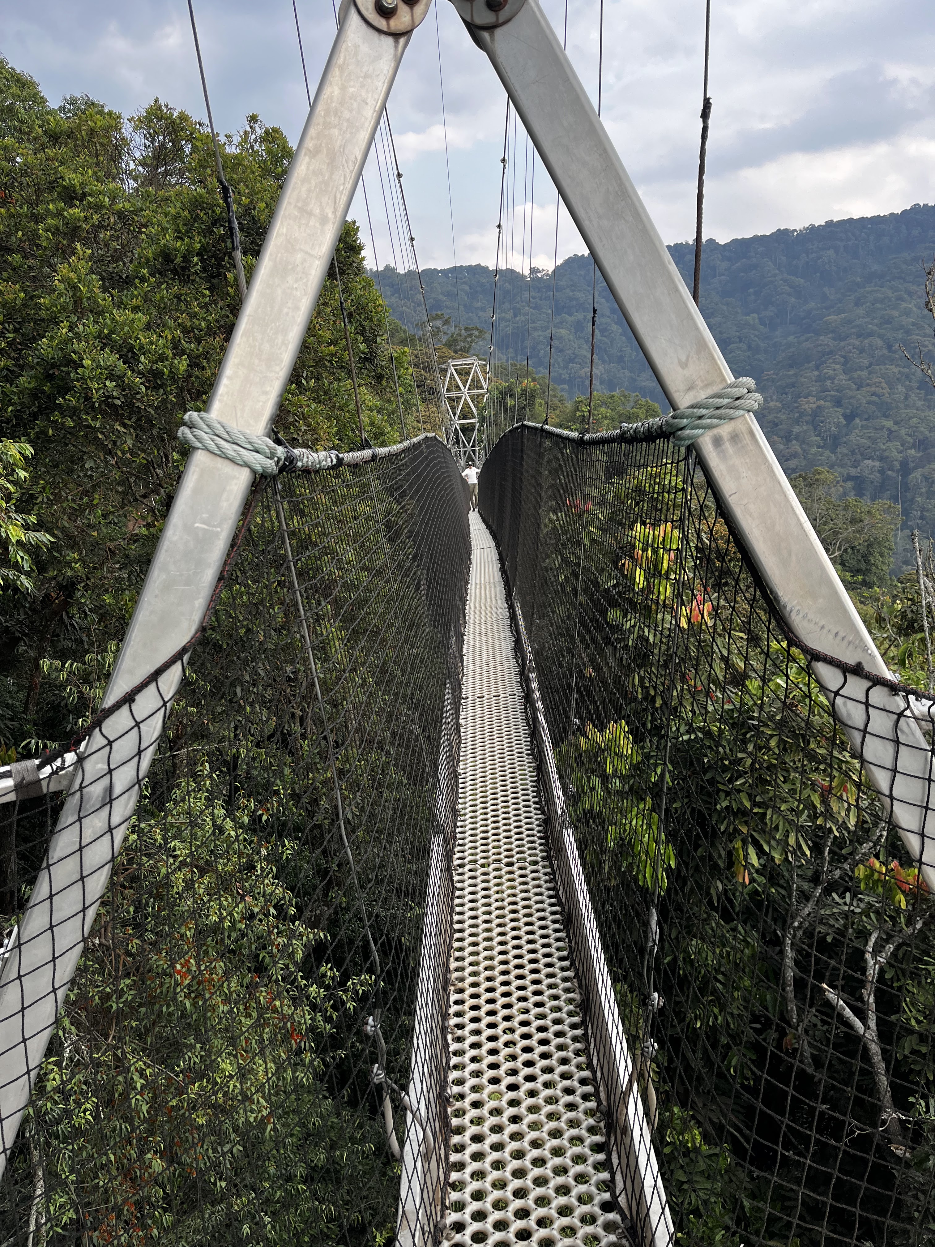 Nyungwe National Park